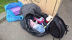 Nepo�ádek u kontejneru na textil na rohu ulic Janského a Borovanského v...