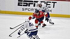 Tomá Nosek (92) z Florida Panthers krotí puk v zápase s Toronto Maple Leafs,...