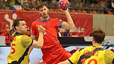 eský reprezentant Joná Patzel v závreném utkání kvalifikace o Euro 2026 s...