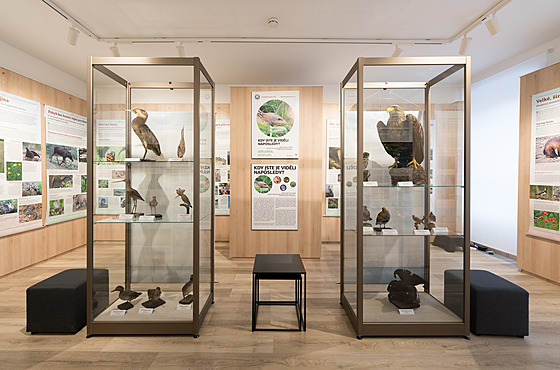 Památník m�sta Protivína: Historie zde o�ívá a p�íroda vypráví