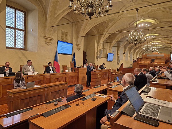 Seminá v Senátu - Levné energie pro eský prmysl (20. kvtna 2025)