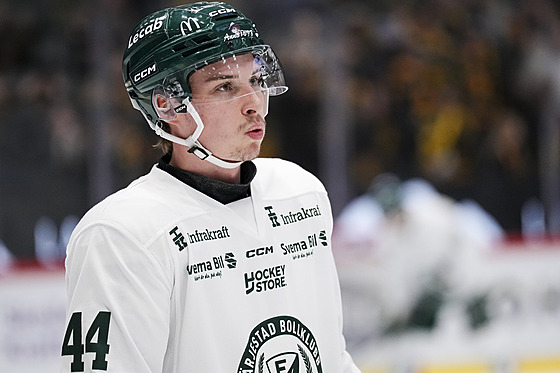 Obránce Quinn Schmiemann v dresu Färjestadu.