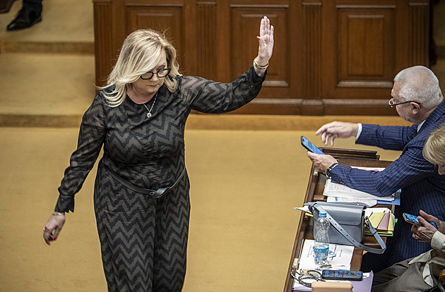 Lidé s přivýdělky nebudou muset podávat daňové přiznání. Schillerová jásá