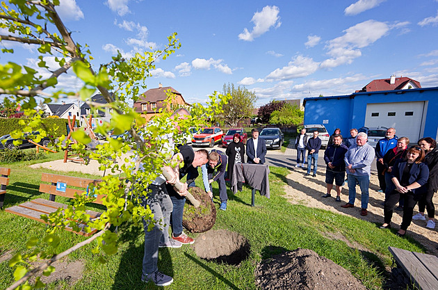 Na fotbalovém stadionu v Donín v Hrádku nad Nisou vysadili blízcí zesnulého...