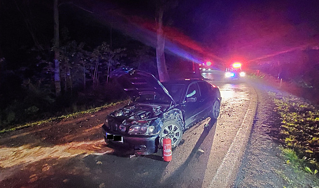 Po krátké honice s policií dostal mladík s autem smyk a narazil do stromu. Pi...