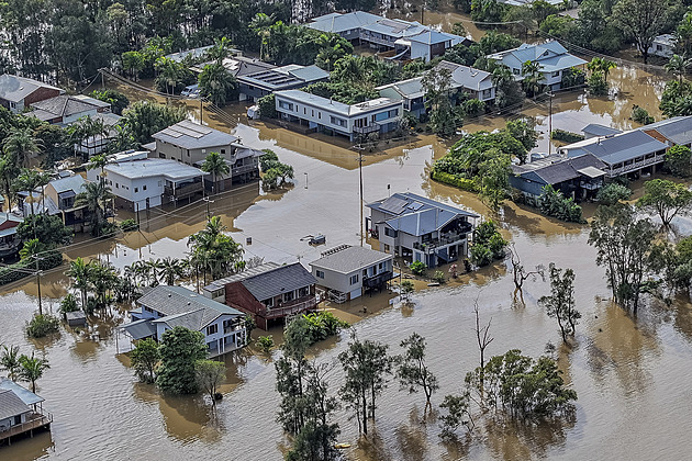 Krutý návrat. Kromě vody našla Australanka v domě i desítky hadů a tisíce pavouků