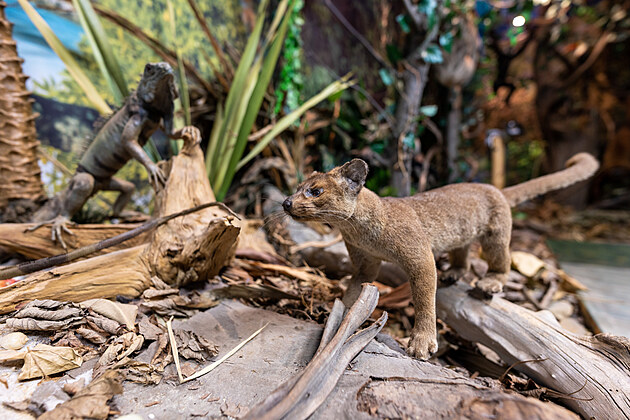 Pam�tn�k m�sta Protiv�na: Historie zde o��v� a p��roda vypr�v�