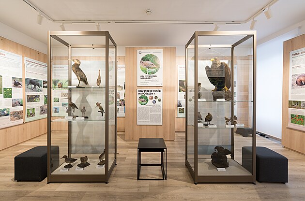 Pam�tn�k m�sta Protiv�na: Historie zde o��v� a p��roda vypr�v�