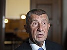 U Vrchnho soudu v Praze pokrauje kauza ap hnzdo. f ANO Andrej Babi a...