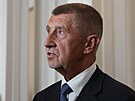 U Vrchnho soudu v Praze pokrauje kauza ap hnzdo. f ANO Andrej Babi a...