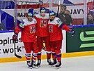 David Pastrák, Martin Neas a Luká Sedlák slaví eský gól v pesilovce proti...