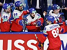 David Pastrák slaví s eskou stídakou srovnání v duelu se Spojenými státy.