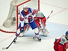 Tage Thompson brání ve výhledu Karlu Vejmelkovi.