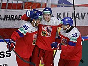 David Pastr�ák, Martin Ne�as a Luká� Sedlák slaví vedení nad Spojenými státy.