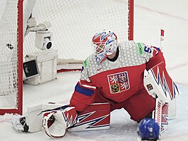 Karel Vejmelka se ohlí�í za pukem, který po st�ele Lea Carlssona ko�í v brance.