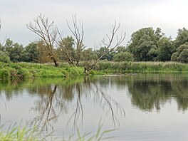 Národní park Ústí Warty le�í v Lubu�ském vojvodství, u hranic s N�meckem, na...