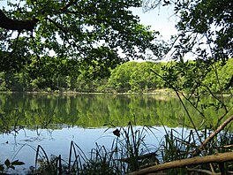 Velkopolský národní park je mnohem men�í, ne� by se podle názvu dalo �ekat. Má...