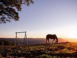 Spole�né jim je, �e v�echny jsou navr�ené tak, aby zaji��ovaly krom� pohodlného...