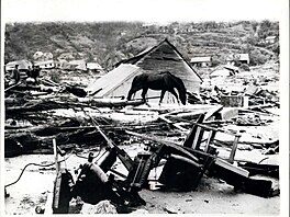 Noviná� Hernán Olave Verdugo vzpomínal v knize Hodiny tragédie na �hukot...