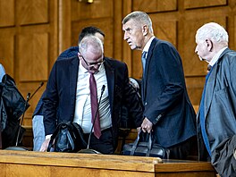 U Vrchního soudu v Praze pokrauje kauza apí hnízdo. éf ANO Andrej Babi a...