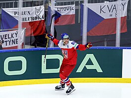 Na pozadí eských vlajek slaví David Pastrák srovnání se Spojenými státy.
