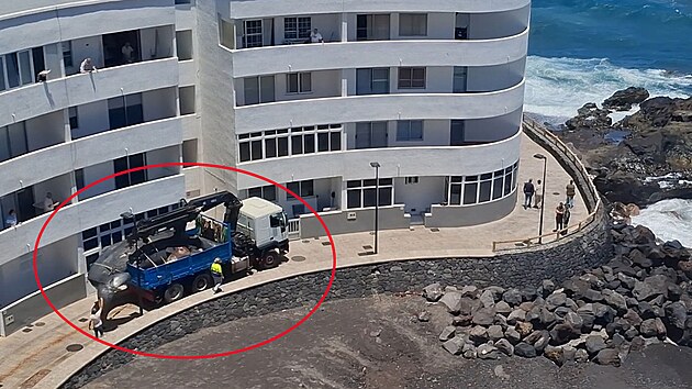 Obrovsk tlo bylo z ple vyzvednuto jebem a pot odvezeno k splen.
