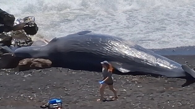 Udlost se stala v mal vesnici Los Roques na Tenerife ve panlsku.