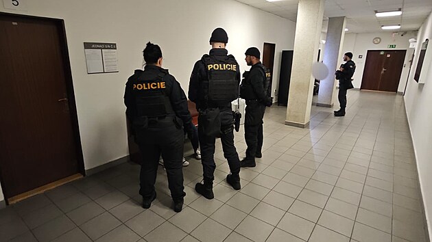 Jednadvacetilet ena el obvinn z ppravy vrady. Soud ji poslal do vazby.