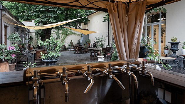 V teplm poas se oteve i vep na zahrdce (22. kvtna 2025)