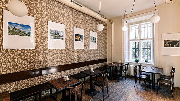 Kavrna Podnebi v doln ulici pod brnnskm hradem pilberk se t spchu u od svho vzniku v roce 2008, vtinu jej klientely tvo studenti. Majitelem podniku je od jeho potku Tom Nebesk, podle nho se kavrna jmenuje.