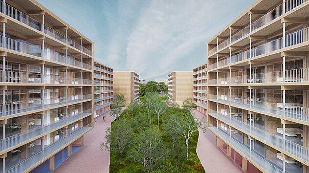 D�ev�n� bytovka Evolo 