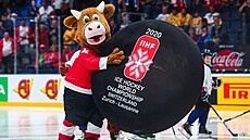 Kravi�ka Cooly u� se t�ila na �ampionát v roce 2020, jen�e ten zhatil covid....