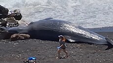 Událost se stala v malé vesnici Los Roques na Tenerife ve panlsku.