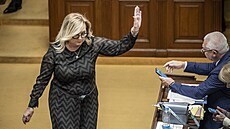 Alena Schillerová ve Snmovn na mimoádné schzi, jejím hlavním bodem je...