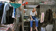 Poet obyvatel Hongkongu, kteí ijí v podobných podmínkách, strm narstá. Z...