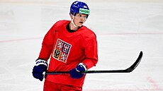 David Kämpf na tréninku eské reprezentace.