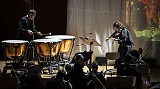 Patricia Kopatchinskaja a tympanista souboru Camerata Bern bhem pednesu...