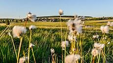 Pohled od Bo�ídarského ra�elini�t� na m�sto Bo�í Dar