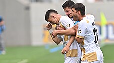 Královéhradecký tpán Harazim slaví se spoluhrái svj gól.