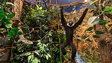 Památník m�sta Protivína: Historie zde o�ívá a p�íroda vypráví