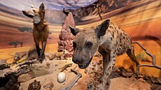 Památník m�sta Protivína: Historie zde o�ívá a p�íroda vypráví