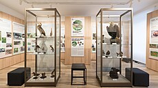 Památník m�sta Protivína: Historie zde o�ívá a p�íroda vypráví