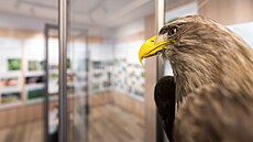 Památník m�sta Protivína: Historie zde o�ívá a p�íroda vypráví