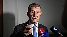 Pedseda hnutí ANO Andrej Babi