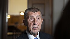 Brnu od roku 2022 vládnou v iroké koalici mimo jiné ODS (vpravo primátorka Markéta Vaková) a ANO (vlevo námstek René erný).