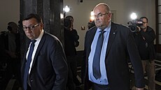 Odvolací soud eí pípad bývalého pedsedy eského fotbalu Miroslava Pelty a...