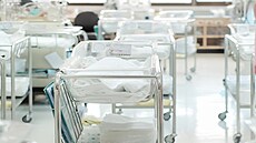 ilustra�ní snímek