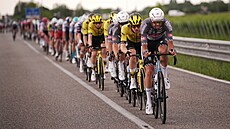 Peloton zdolávání 14. etapu Gira.