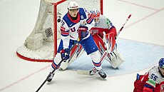 Tage Thompson brání ve výhledu Karlu Vejmelkovi.