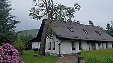 Boue vyvrátila strom, který spadl na dm. (28. kvtna 2025)